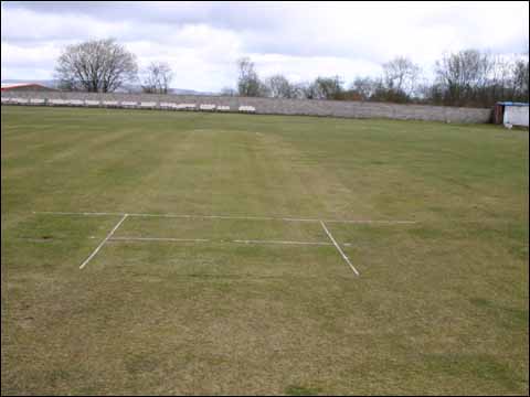 wicket cut