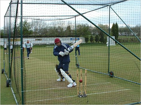 David batting