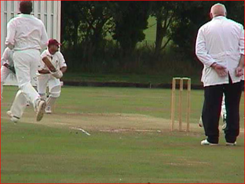 Mark Stevenson batting